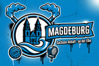 Ultra Sticker Magdeburg kaufen – Vinyl Sticker für die Kurve, wetterfest